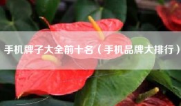 手机牌子大全前十名（手机品牌大排行）