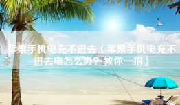 苹果手机电充不进去（苹果手机电充不进去电怎么办？教你一招）