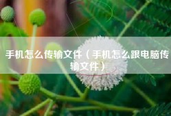 手机怎么传输文件（手机怎么跟电脑传输文件）