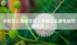 手机怎么传输文件（手机怎么跟电脑传输文件）