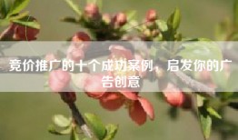 竞价推广的十个成功案例，启发你的广告创意