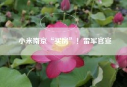 小米南京“买房”！雷军官宣