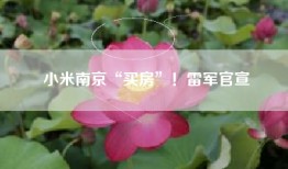 小米南京“买房”！雷军官宣