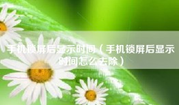 手机锁屏后显示时间（手机锁屏后显示时间怎么去除）
