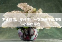 不止微信、支付宝！一文带你了解所有小程序平台