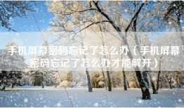 手机屏幕密码忘记了怎么办（手机屏幕密码忘记了怎么办才能解开）