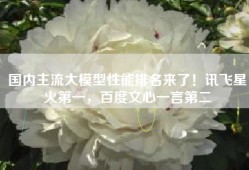 国内主流大模型性能排名来了！讯飞星火第一，百度文心一言第二