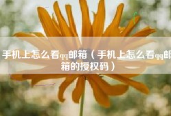 手机上怎么看qq邮箱（手机上怎么看qq邮箱的授权码）