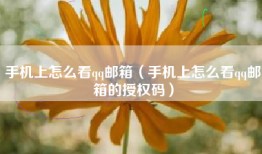 手机上怎么看qq邮箱（手机上怎么看qq邮箱的授权码）