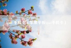 ipad 手机卡（苹果平板ipad手机卡）