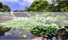 酷派手机4g（酷派手机4G）