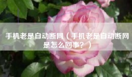 手机老是自动断网（手机老是自动断网是怎么回事？）
