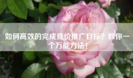 如何高效的完成竞价推广目标？教你一个万能方法！