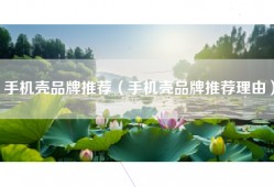 手机壳品牌推荐（手机壳品牌推荐理由）