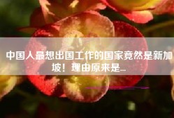 中国人最想出国工作的国家竟然是新加坡！理由原来是...