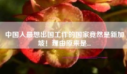 中国人最想出国工作的国家竟然是新加坡！理由原来是...
