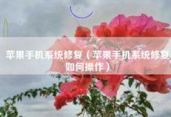 苹果手机系统修复（苹果手机系统修复如何操作）