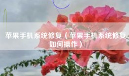 苹果手机系统修复（苹果手机系统修复如何操作）