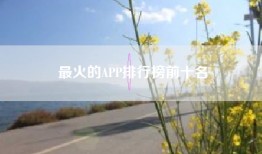 最火的APP排行榜前十名
