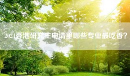 2024香港研究生申请里哪些专业最吃香？