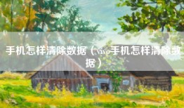 手机怎样清除数据（vivo手机怎样清除数据）