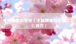 手机镜像到电视（手机镜像到电视上怎么操作）