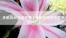 手机如何连接宽带（手机如何连接宽带密码？）