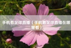 手机看足球直播（手机看足球直播在哪里看）