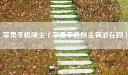 苹果手机除尘（苹果手机除尘音波在哪）