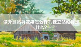 做外贸站群效果怎么样？独立站站群是什么？