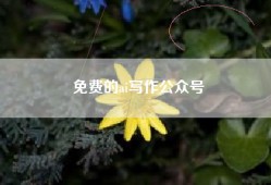 免费的ai写作公众号