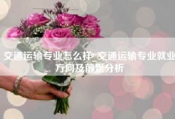 交通运输专业怎么样_交通运输专业就业方向及前景分析