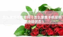 怎么重置手机密码（怎么重置手机密码错误冷却状态）