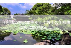 手机热点笔记本连不上（为什么手机热点笔记本连接不上）