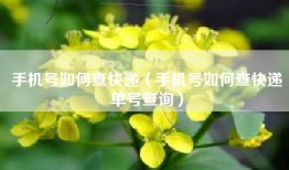 手机号如何查快递（手机号如何查快递单号查询）