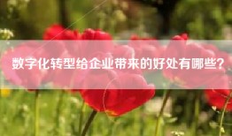 数字化转型给企业带来的好处有哪些？