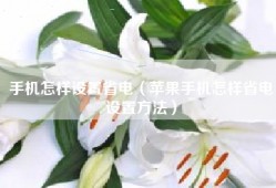 手机怎样设置省电（苹果手机怎样省电设置方法）