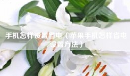 手机怎样设置省电（苹果手机怎样省电设置方法）
