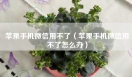 苹果手机微信用不了（苹果手机微信用不了怎么办）