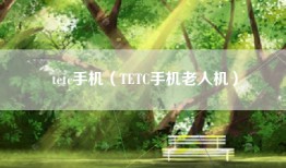 tetc手机（TETC手机老人机）