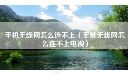 手机无线网怎么连不上（手机无线网怎么连不上电视）