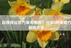 自媒体运营方案有哪些？分享8种策略方案给大家