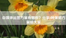 自媒体运营方案有哪些？分享8种策略方案给大家