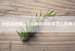 手机自动换ip（手机自动换屏怎么回事）