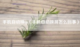 手机自动换ip（手机自动换屏怎么回事）
