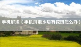手机屏泡（手机屏泡水后有花斑怎么办）