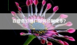百度竞价推广如何控制成本？