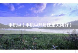 手机hd（手机hd开启还是关闭好）