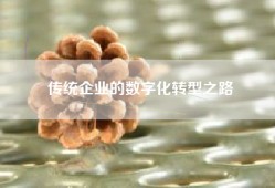 传统企业的数字化转型之路