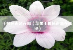 手机扬声器在哪（苹果手机扬声器在哪里）